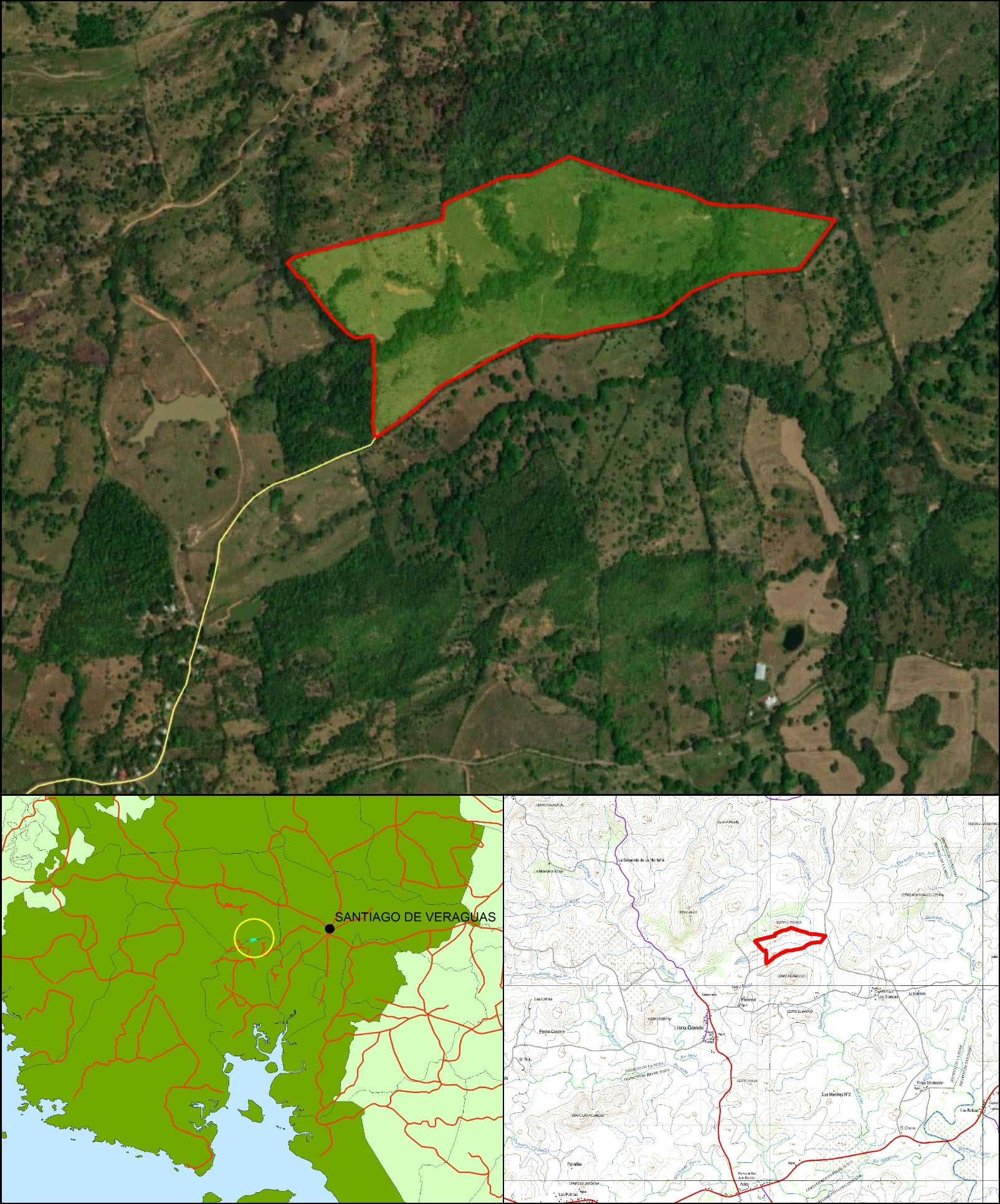Imagen 6 – composición vertical de Cerro Pedregoso